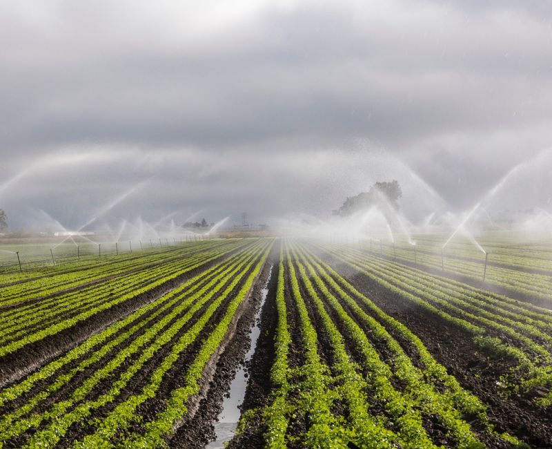 irrigation-7262563_800x650
